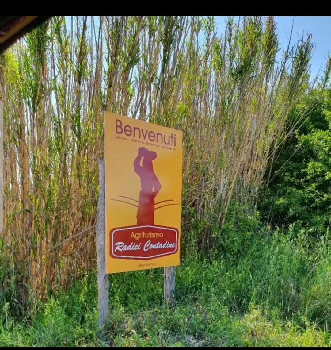 Agriturismo Radici Contadine Bisaccia Dış mekan fotoğraf